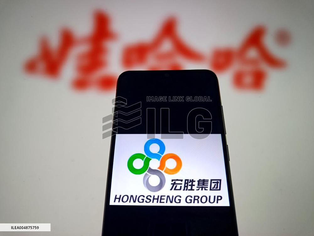 Illustration Hongsheng Group