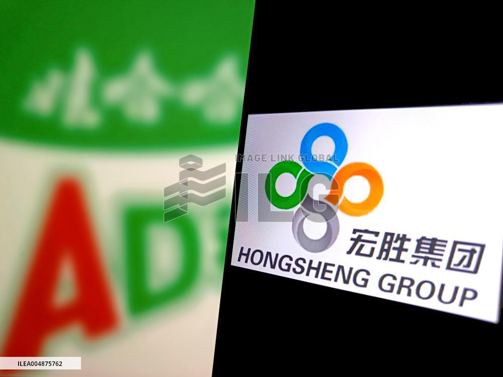 Illustration Hongsheng Group