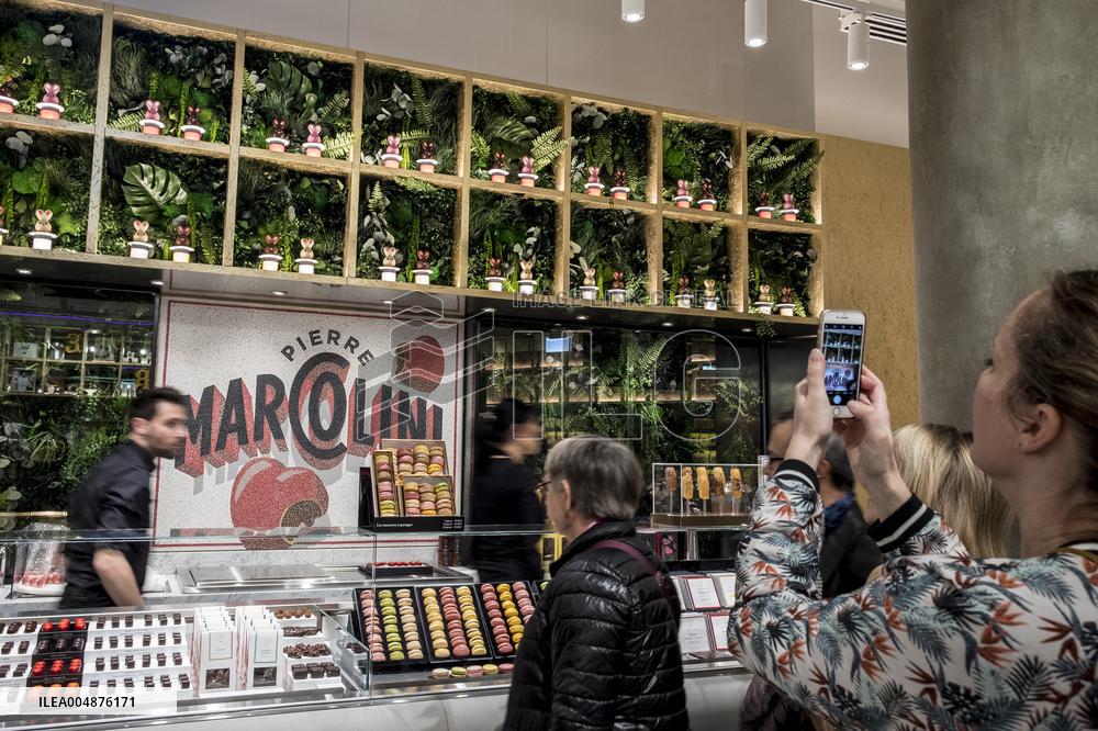 Illustration - Galeries Lafayette - Paris