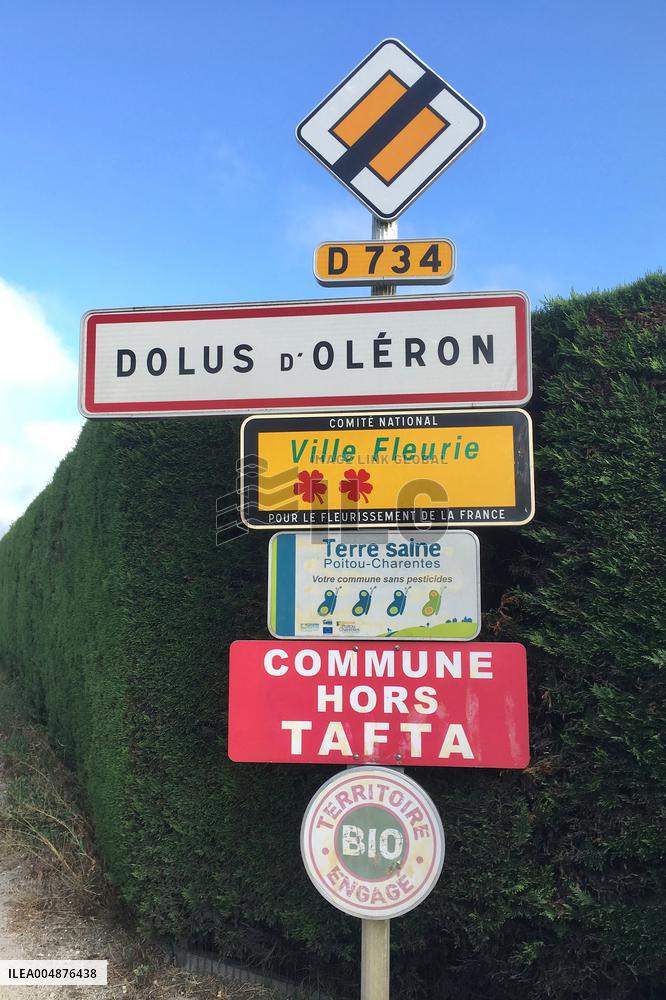 Driver Rams Into Pedestrians in Western France - Island of Oleron