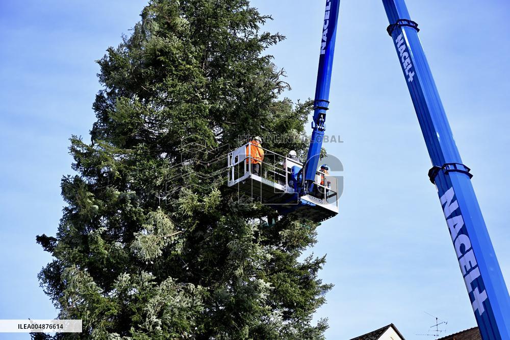 Strasbourg Is Preparing for The Festive Season - France