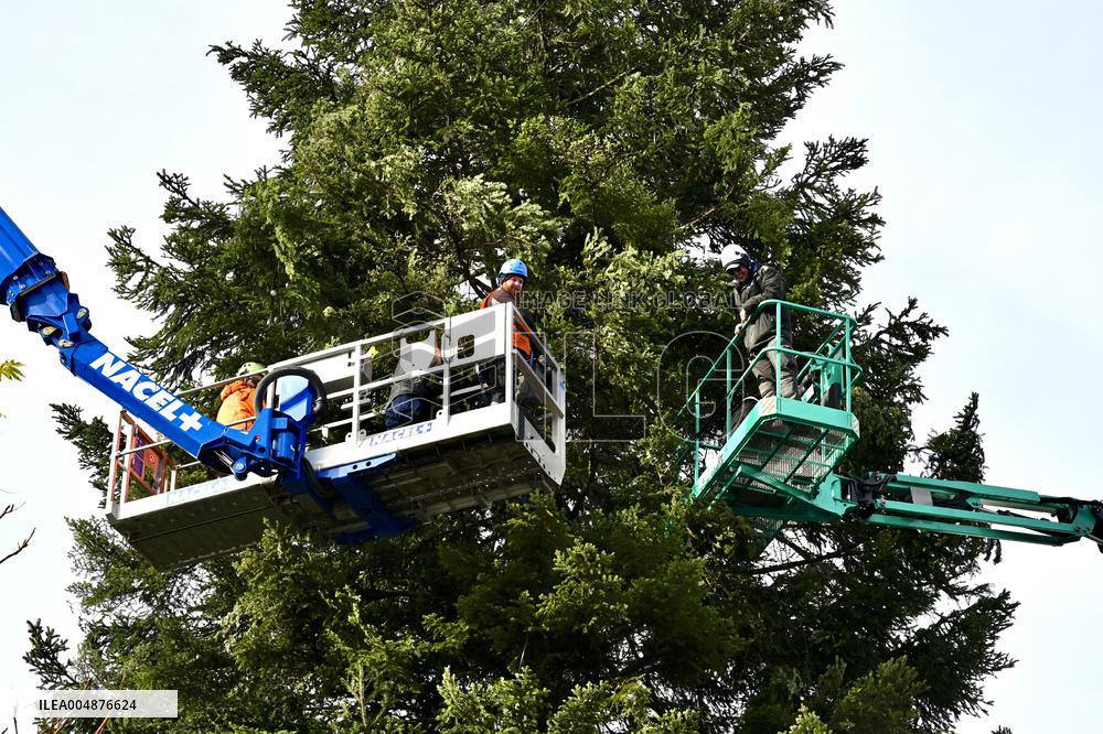 Strasbourg Is Preparing for The Festive Season - France