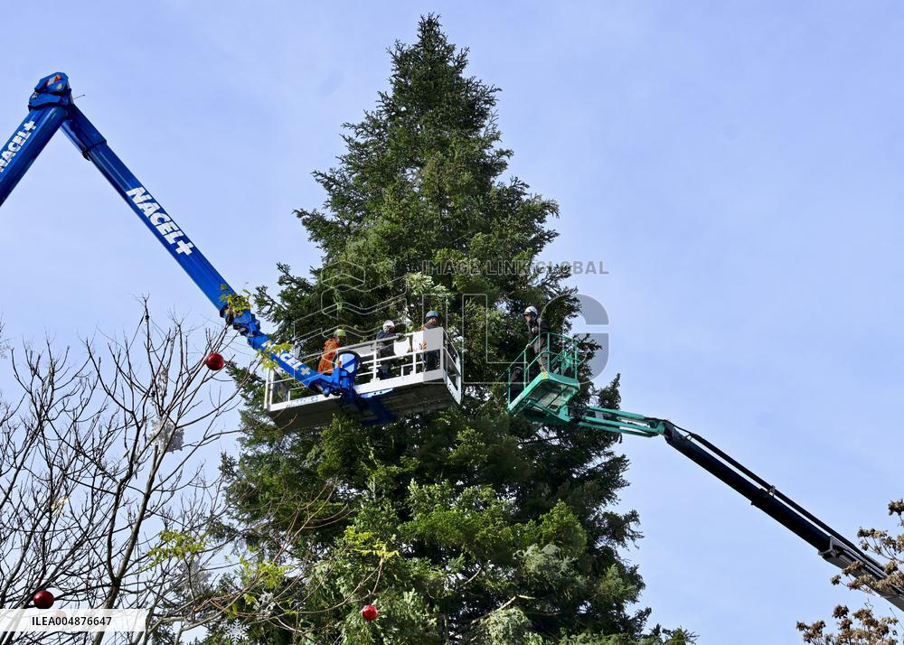Strasbourg Is Preparing for The Festive Season - France