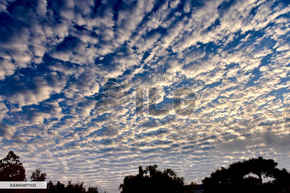 Fish Scale Cloud Landscape in Zaozhuang