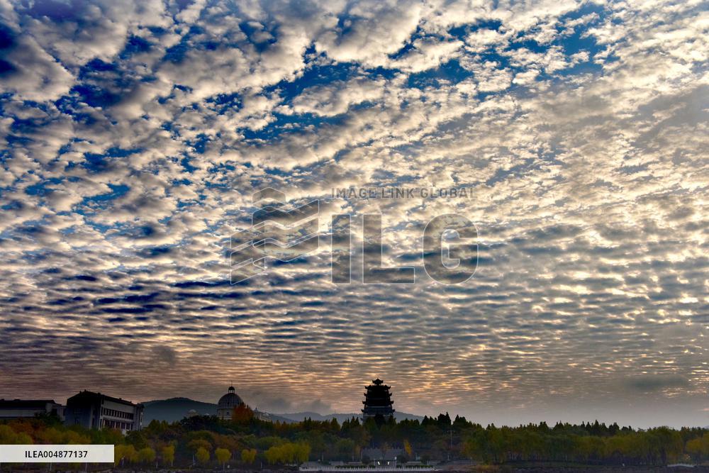 Fish Scale Cloud Landscape in Zaozhuang