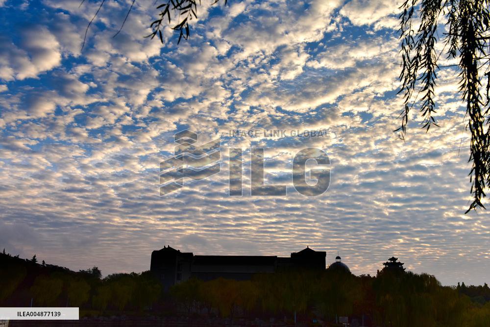 Fish Scale Cloud Landscape in Zaozhuang