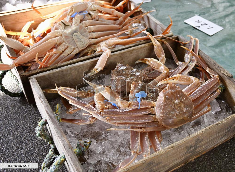 Snow crab fishing season in Japan