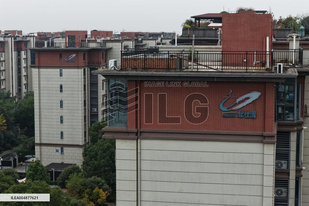 Country Garden Debt Restructuring