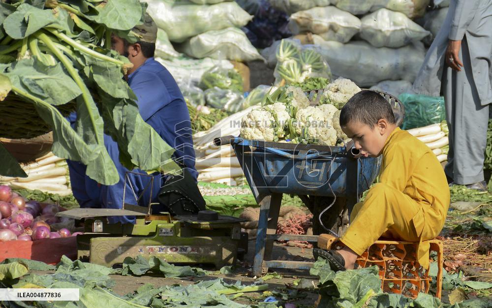 Daily life in Rawalpindi Bazaar - Pakistan