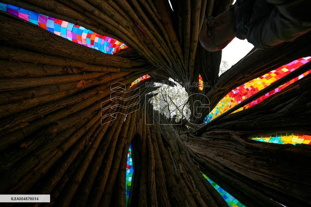 Willow Temple - Warsaw