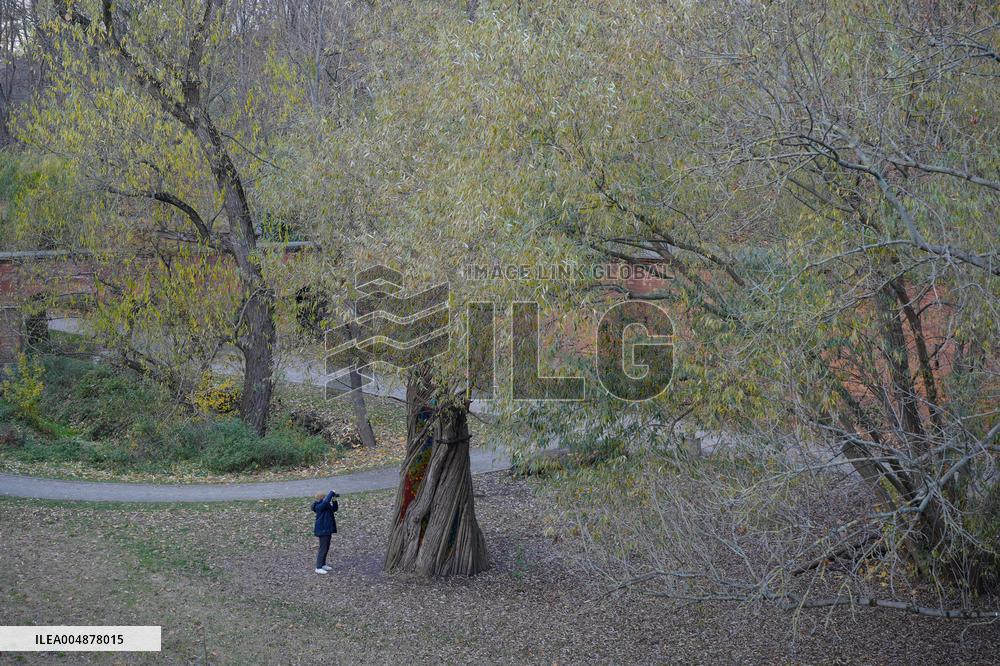 Willow Temple - Warsaw