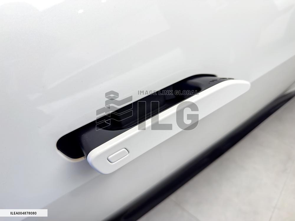 China EV Hidden Door Handles