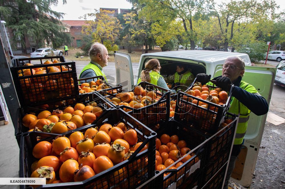 Great Food Drive 2025 - Madrid