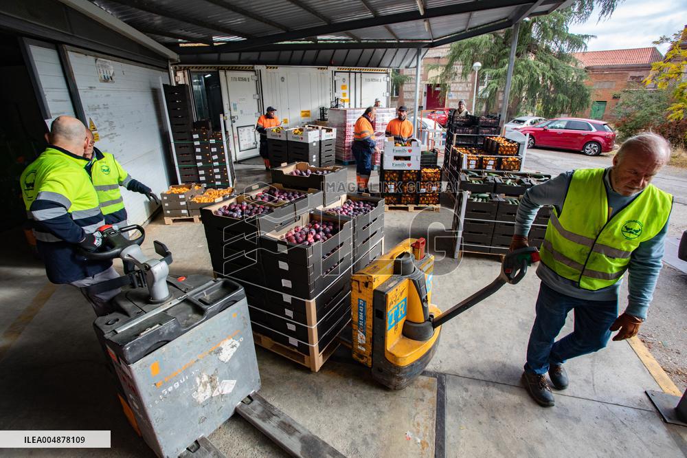 Great Food Drive 2025 - Madrid