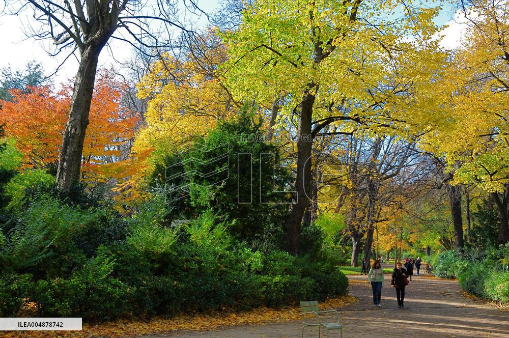 Illustration - Senat - Paris