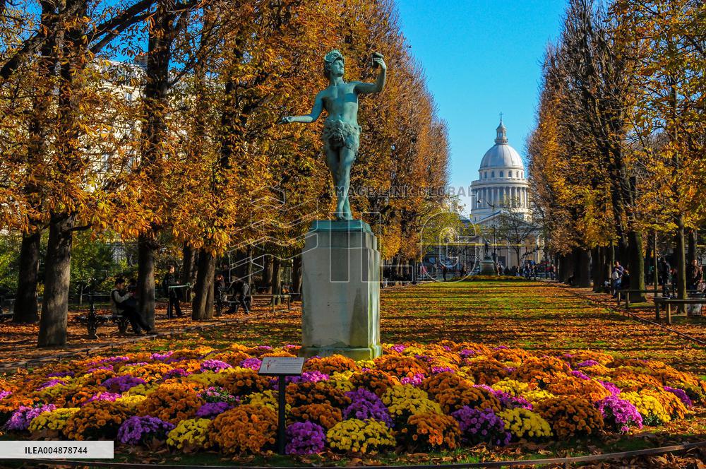 Illustration - Senat - Paris