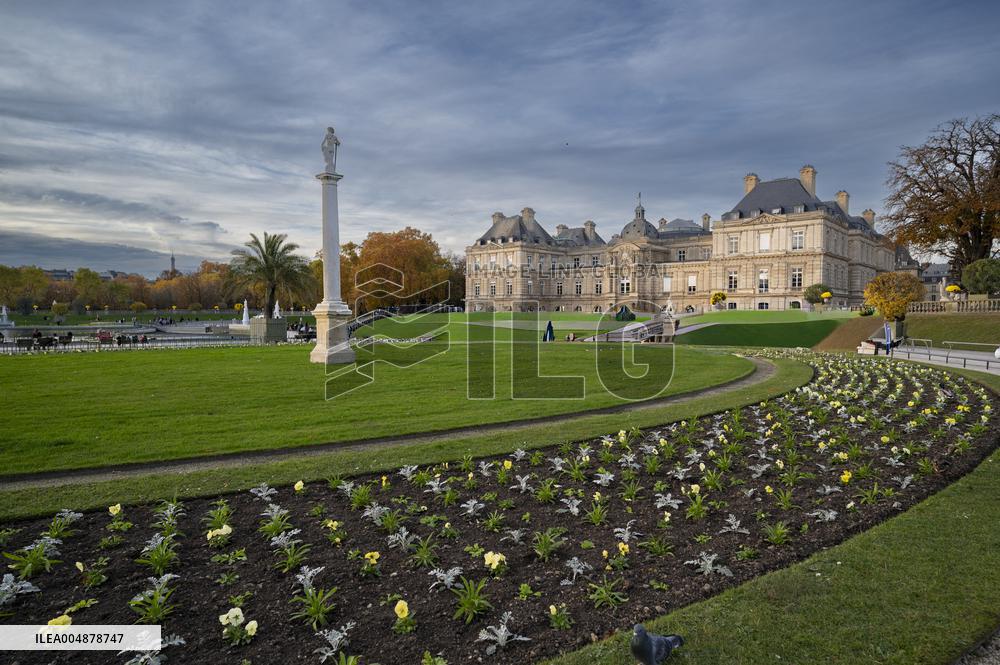 Illustration - Senat - Paris
