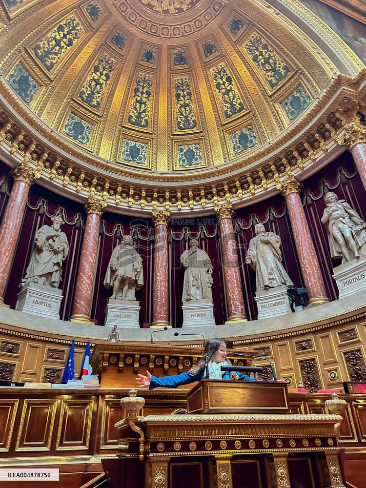 Illustration - Senat - Paris