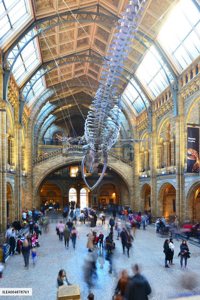 Illustration - Londres