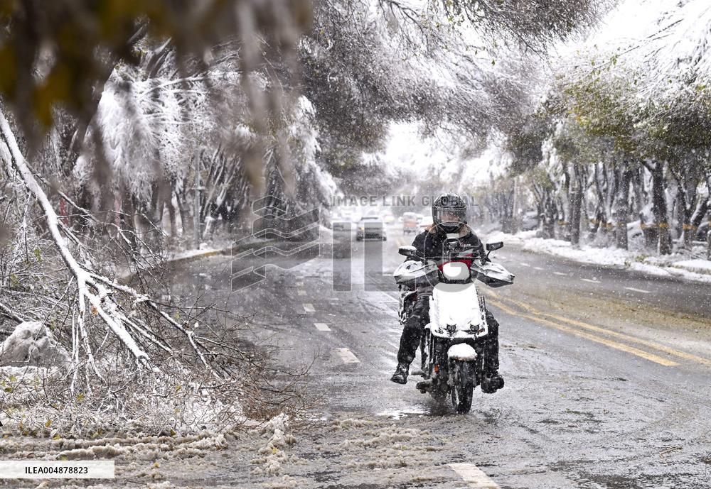 A Blizzard Has Swept Across the Xinjiang Uyghur Autonomous Region - China