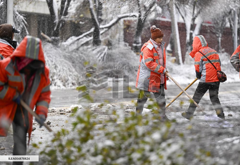 A Blizzard Has Swept Across the Xinjiang Uyghur Autonomous Region - China