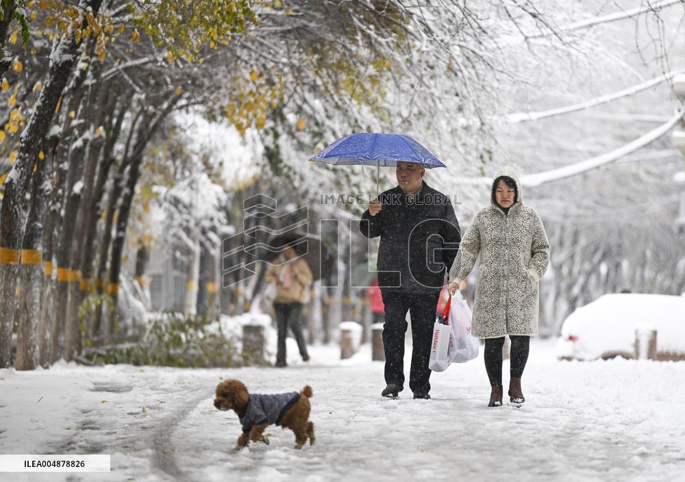 A Blizzard Has Swept Across the Xinjiang Uyghur Autonomous Region - China