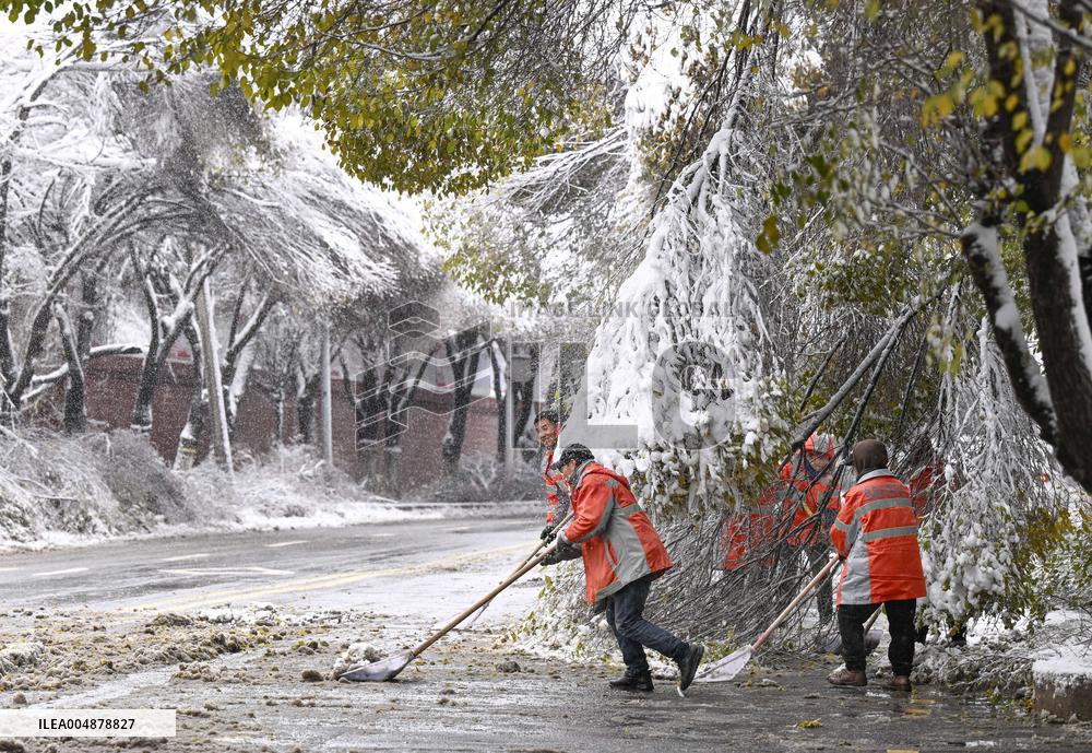 A Blizzard Has Swept Across the Xinjiang Uyghur Autonomous Region - China