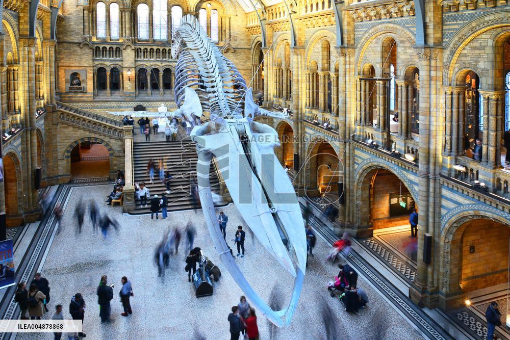 Illustration - Londres