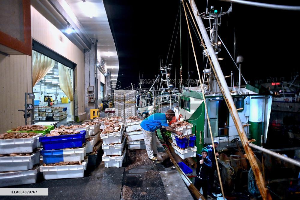 Return From Scallop Fishing - Port-En-Bessin. FC