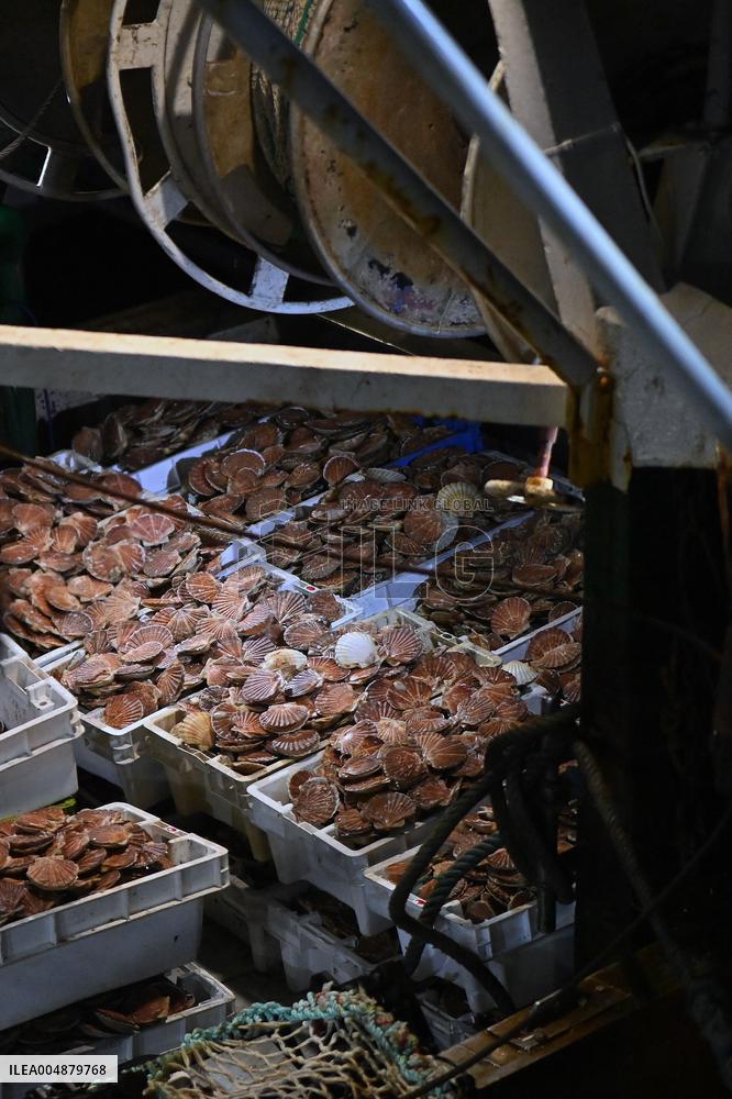 Return From Scallop Fishing - Port-En-Bessin. FC
