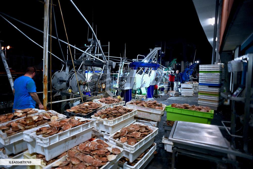 Return From Scallop Fishing - Port-En-Bessin. FC
