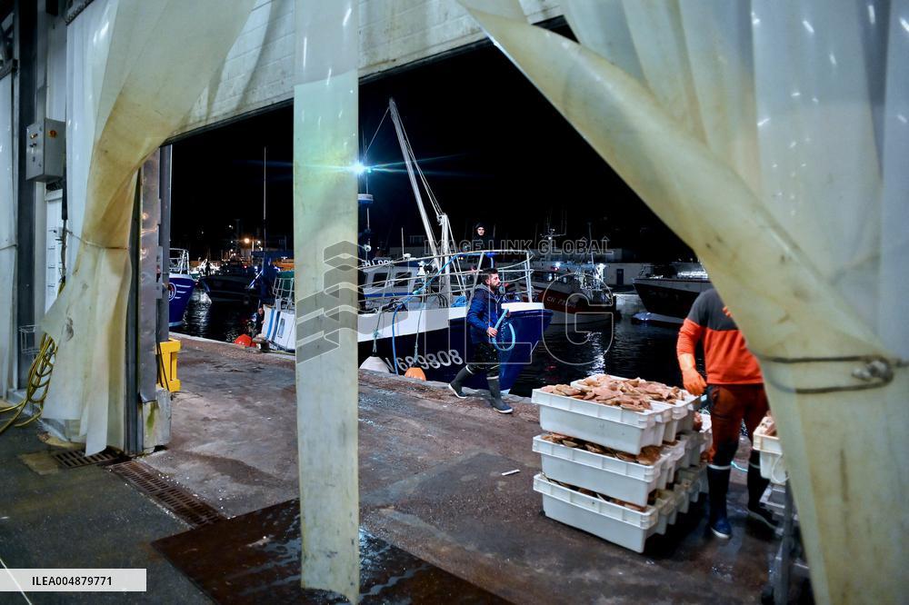 Return From Scallop Fishing - Port-En-Bessin. FC