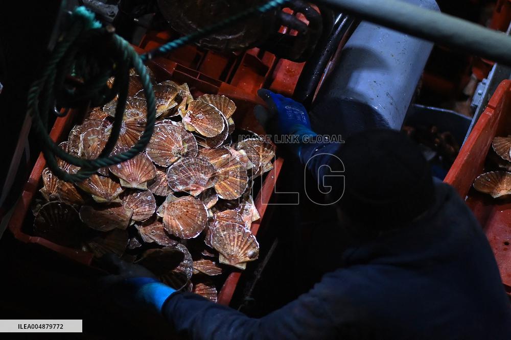 Return From Scallop Fishing - Port-En-Bessin. FC