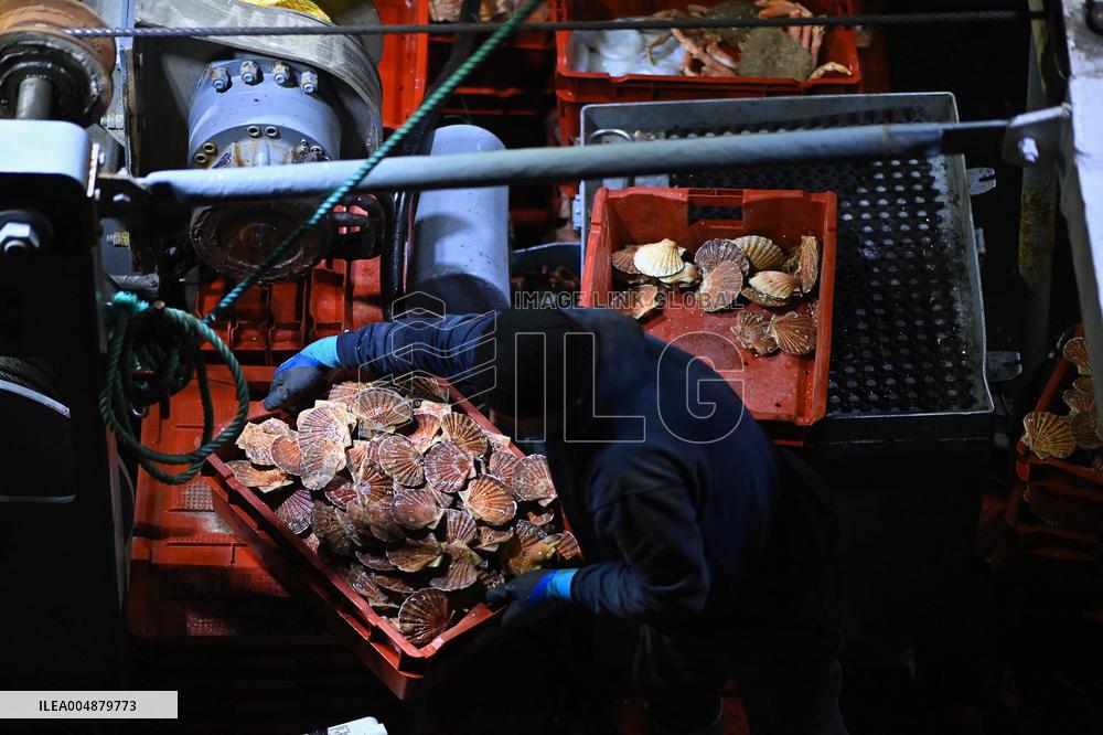 Return From Scallop Fishing - Port-En-Bessin. FC
