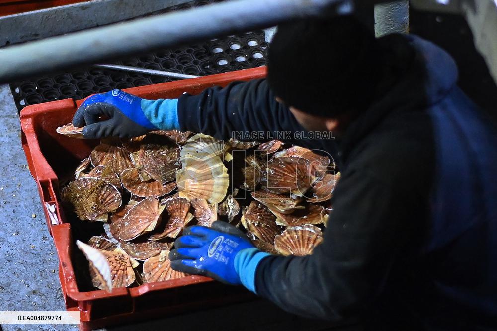 Return From Scallop Fishing - Port-En-Bessin. FC