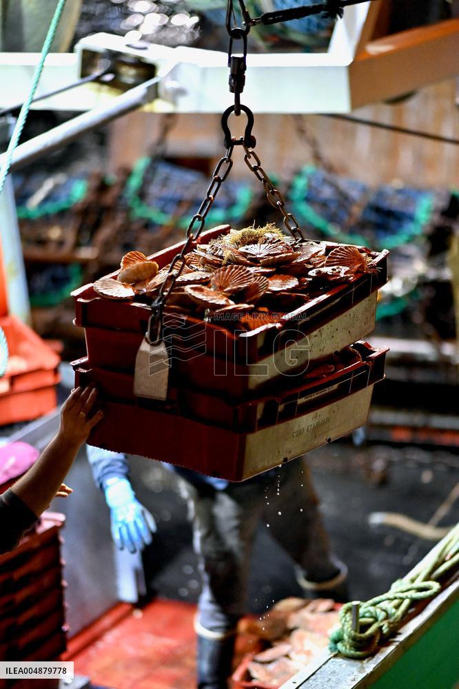 Return From Scallop Fishing - Port-En-Bessin. FC