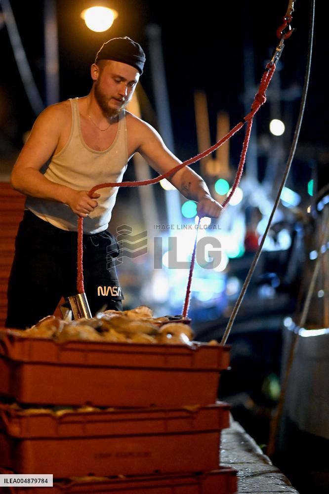 Return From Scallop Fishing - Port-En-Bessin. FC