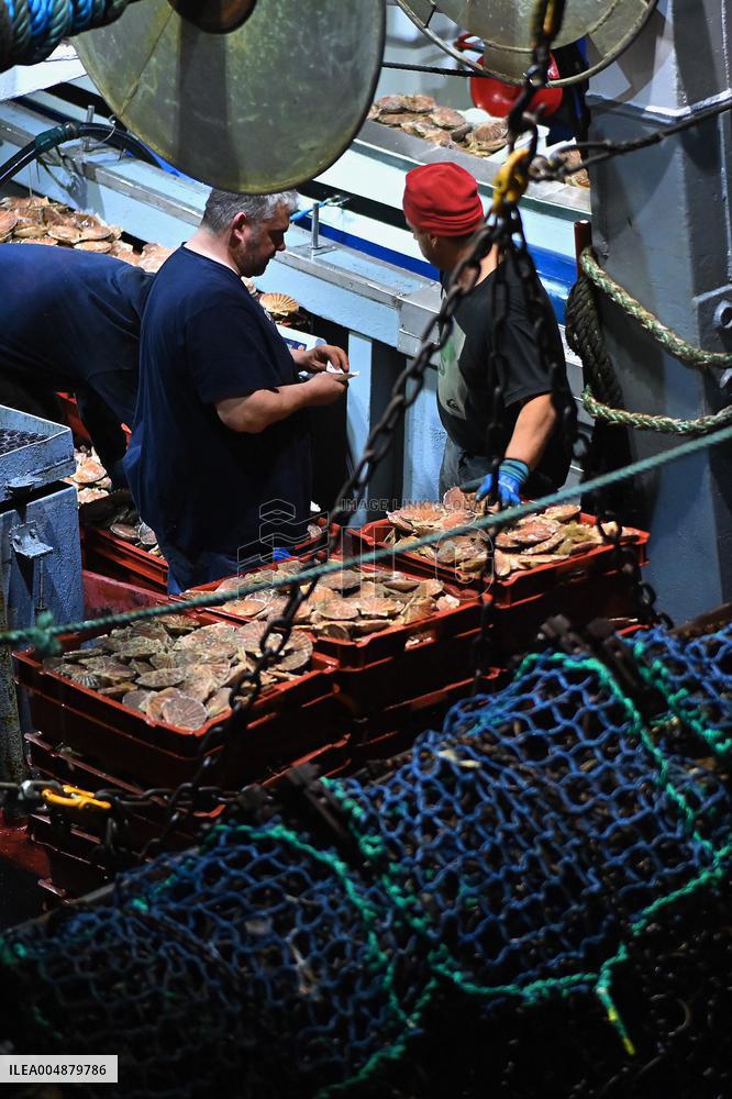 Return From Scallop Fishing - Port-En-Bessin. FC