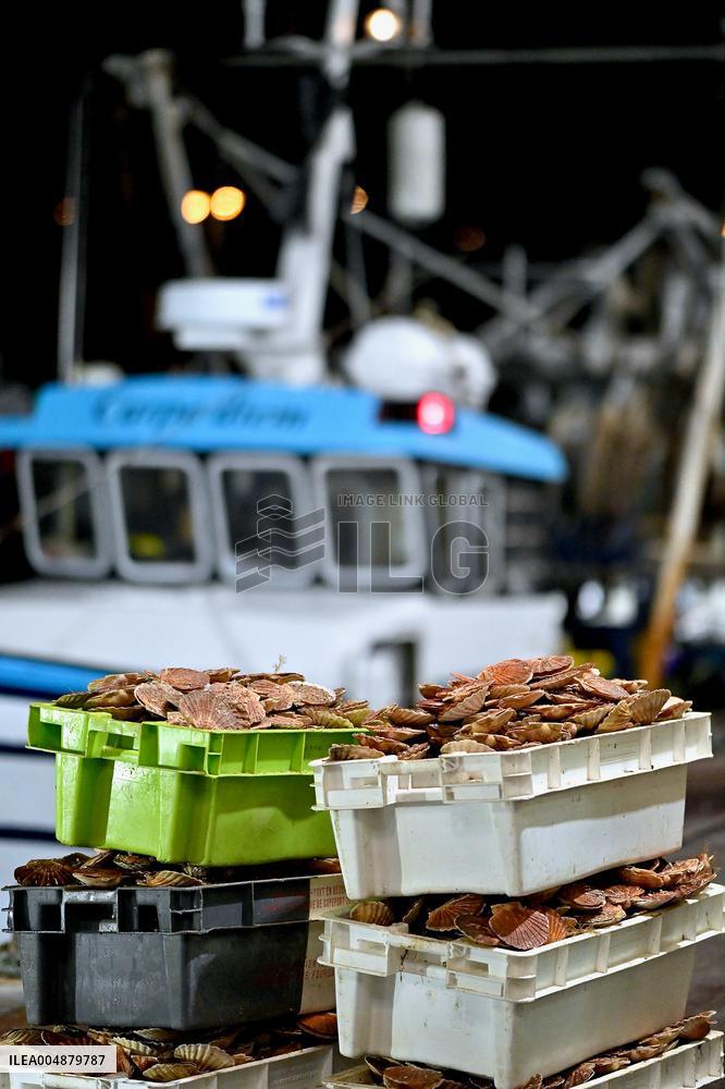 Return From Scallop Fishing - Port-En-Bessin. FC