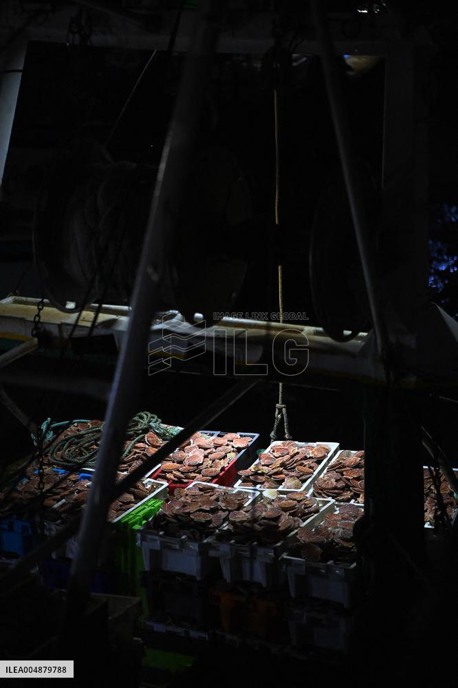 Return From Scallop Fishing - Port-En-Bessin. FC