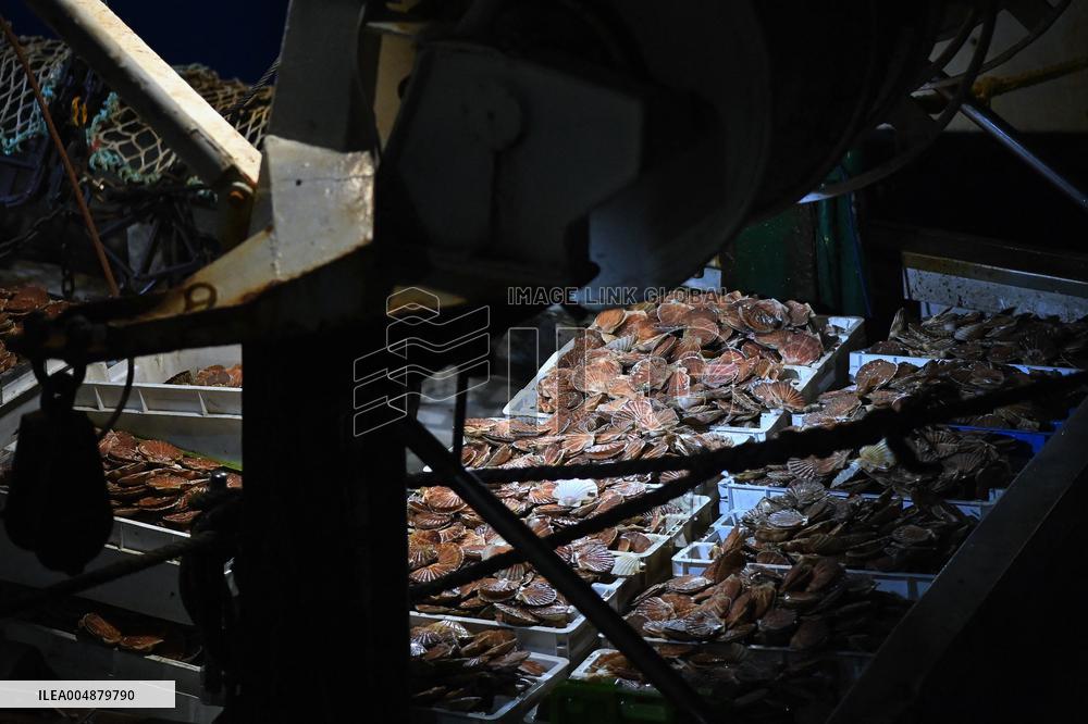 Return From Scallop Fishing - Port-En-Bessin. FC