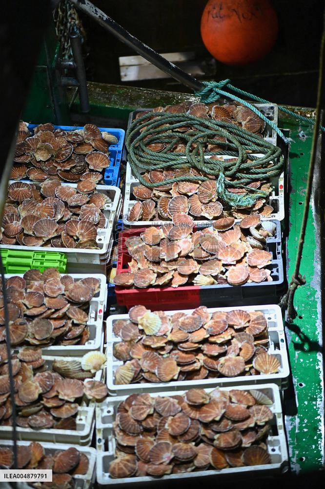 Return From Scallop Fishing - Port-En-Bessin. FC