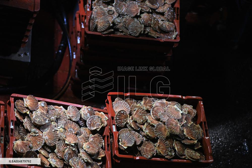 Return From Scallop Fishing - Port-En-Bessin. FC