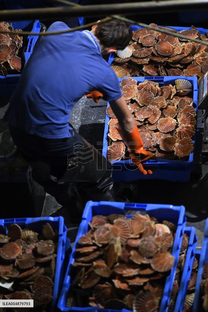Return From Scallop Fishing - Port-En-Bessin. FC