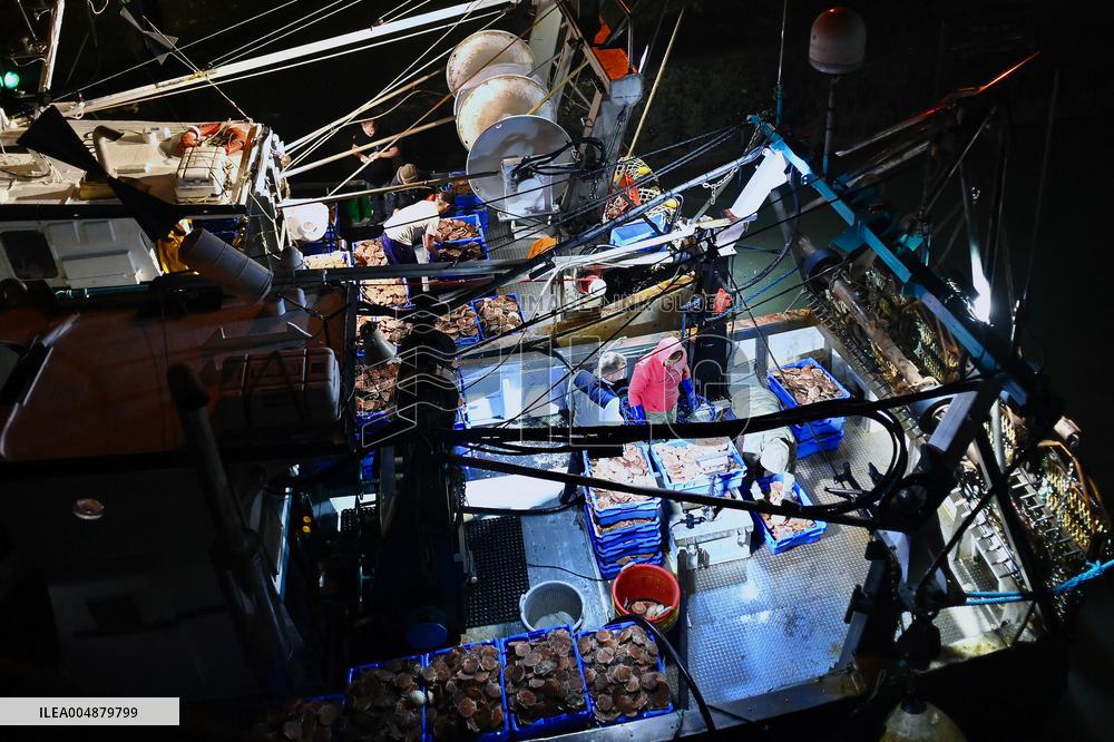Return From Scallop Fishing - Port-En-Bessin. FC