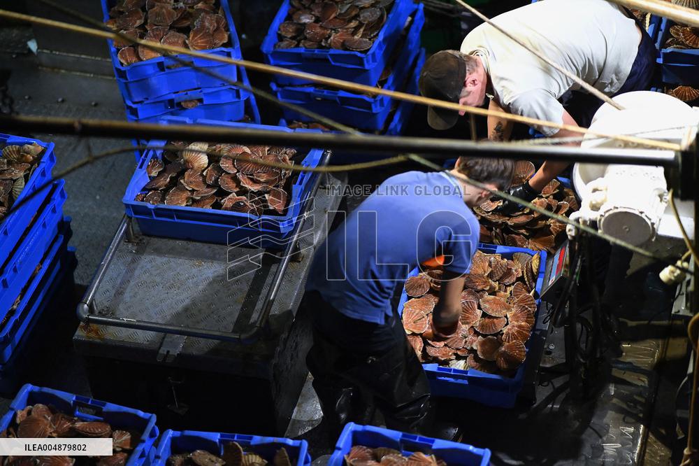 Return From Scallop Fishing - Port-En-Bessin. FC