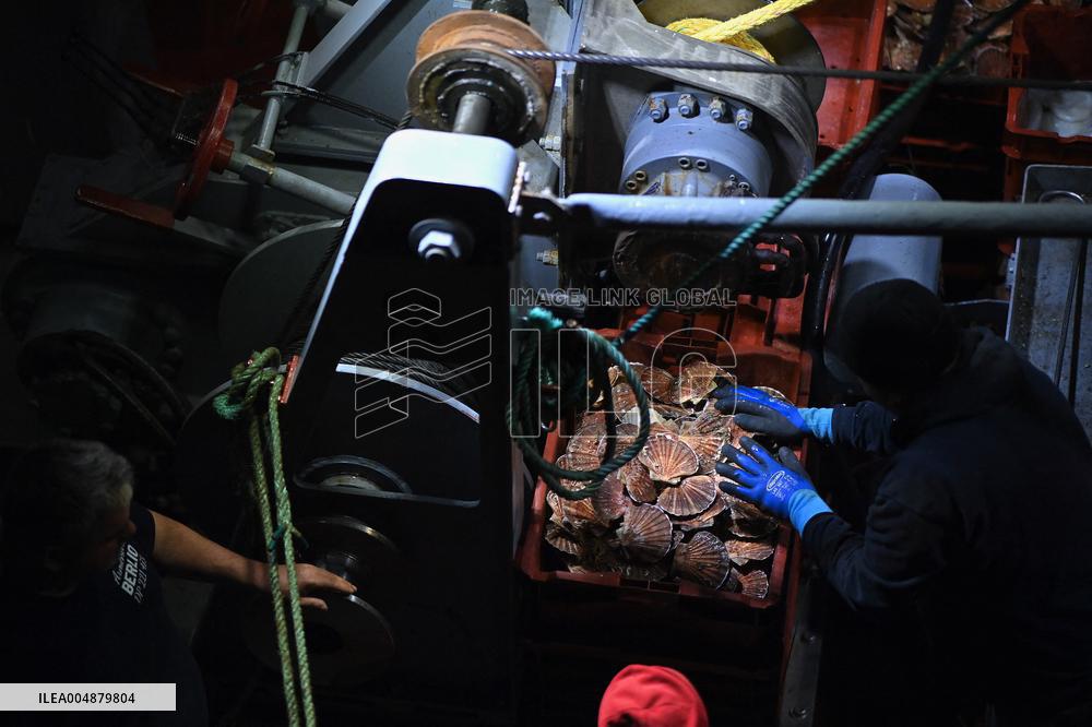 Return From Scallop Fishing - Port-En-Bessin. FC