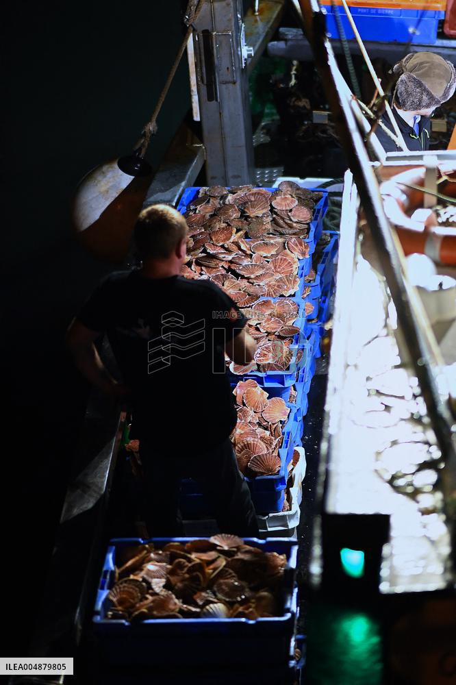 Return From Scallop Fishing - Port-En-Bessin. FC