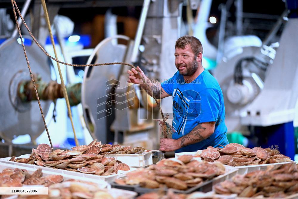 Return From Scallop Fishing - Port-En-Bessin. FC