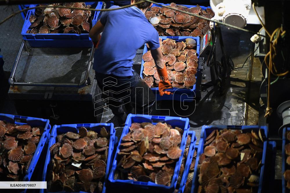 Return From Scallop Fishing - Port-En-Bessin. FC